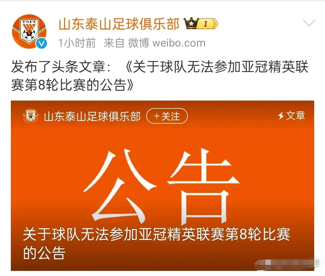 澳门风狸斩获胜利，勇夺亚冠冠军！的简单介绍